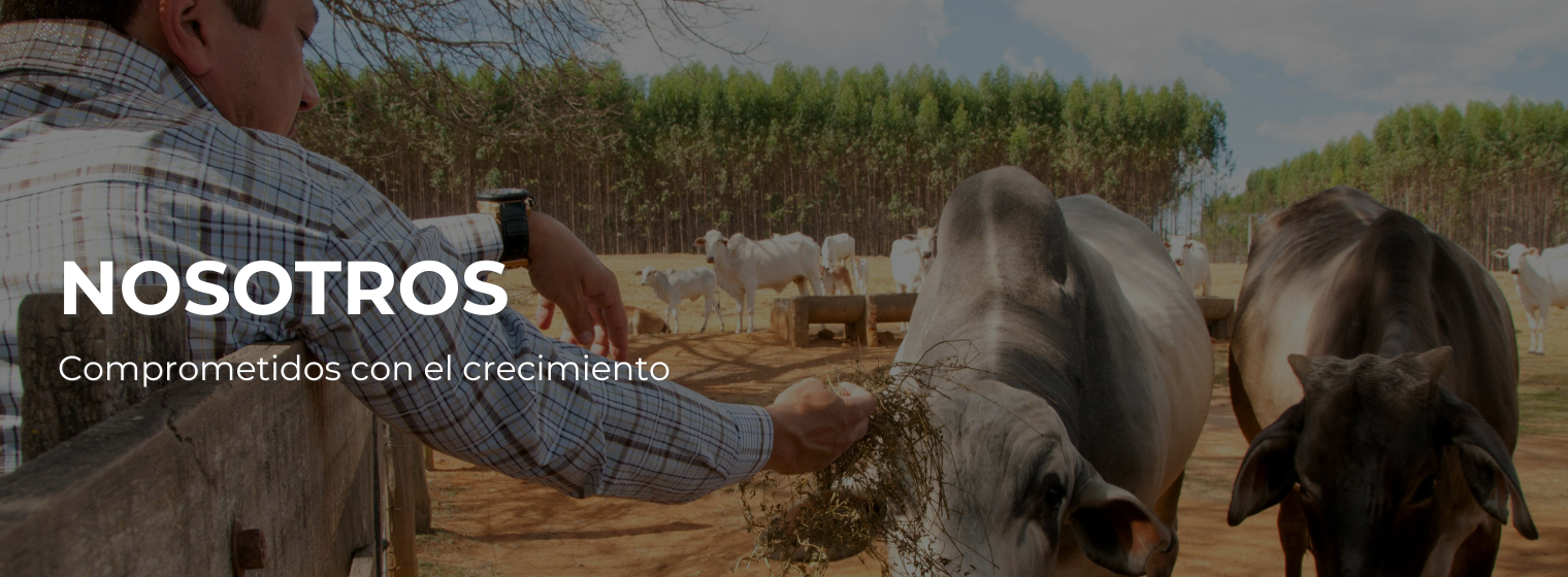 PORTADA NOSOTROS (1)