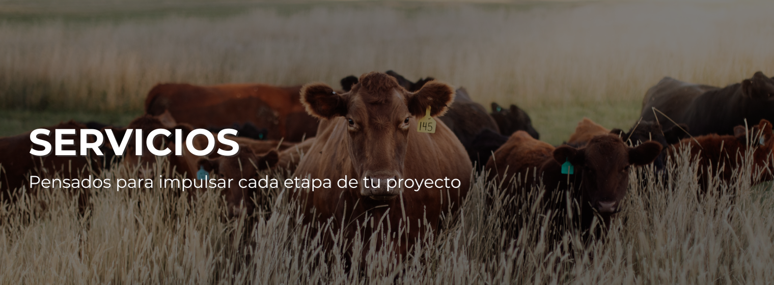 PORTADA SERVICIOS